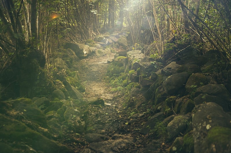 Nature Retreat